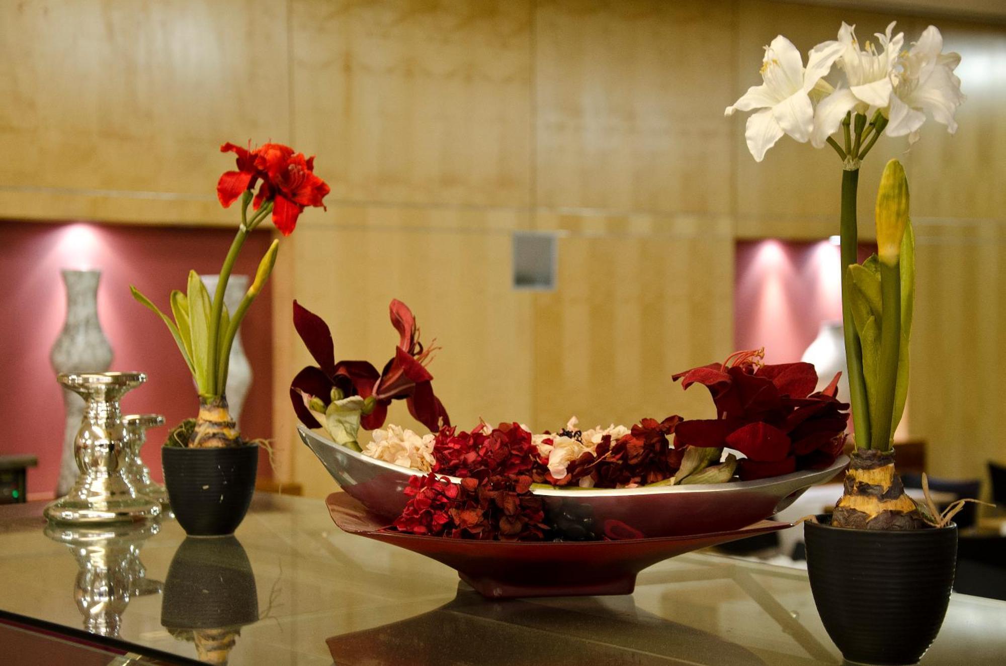 วีไอพี เอ็กเซกคิวทีฟ เอนเตรกัมโปส - โฮเต็ล แอนด์ คอนเฟอเรนซ์ Hotel ลิสบอน ภายนอก รูปภาพ